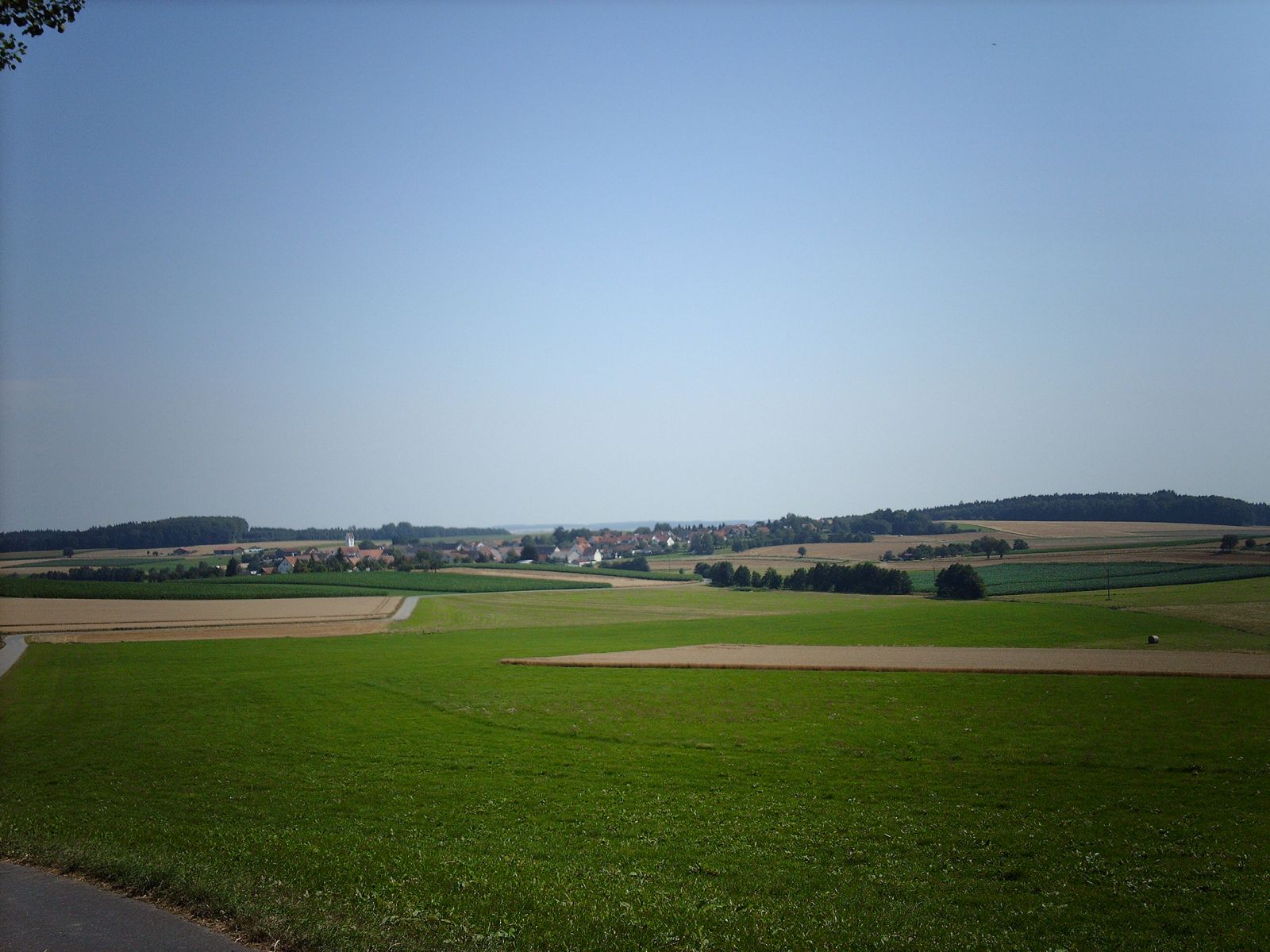 Blick auf Allmannsweiler