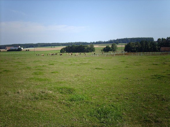 Landschaft