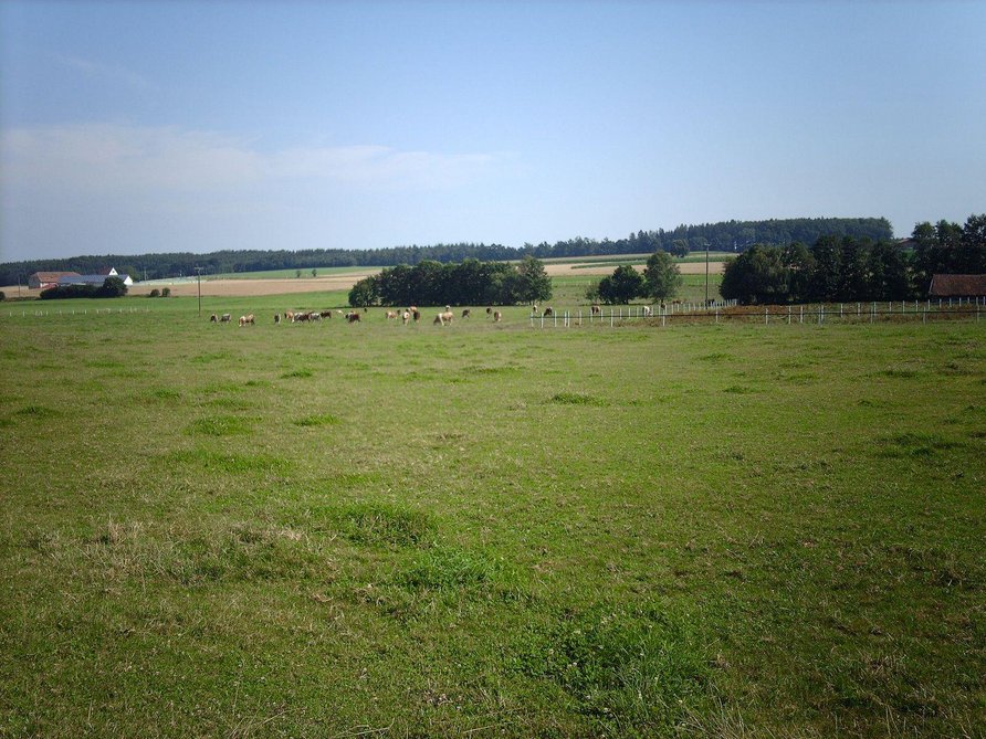 Landschaft